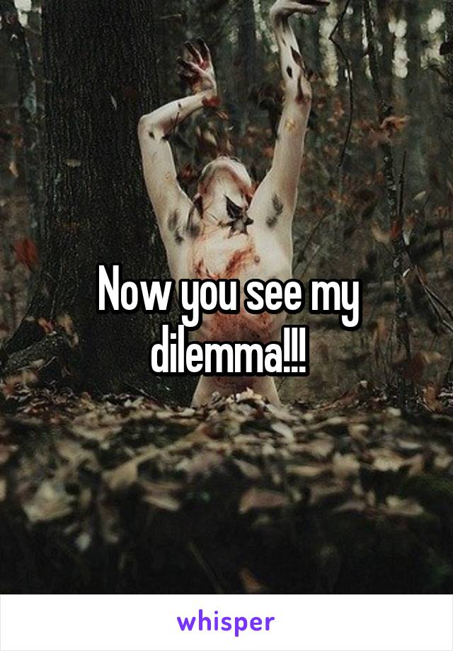 Now you see my dilemma!!!
