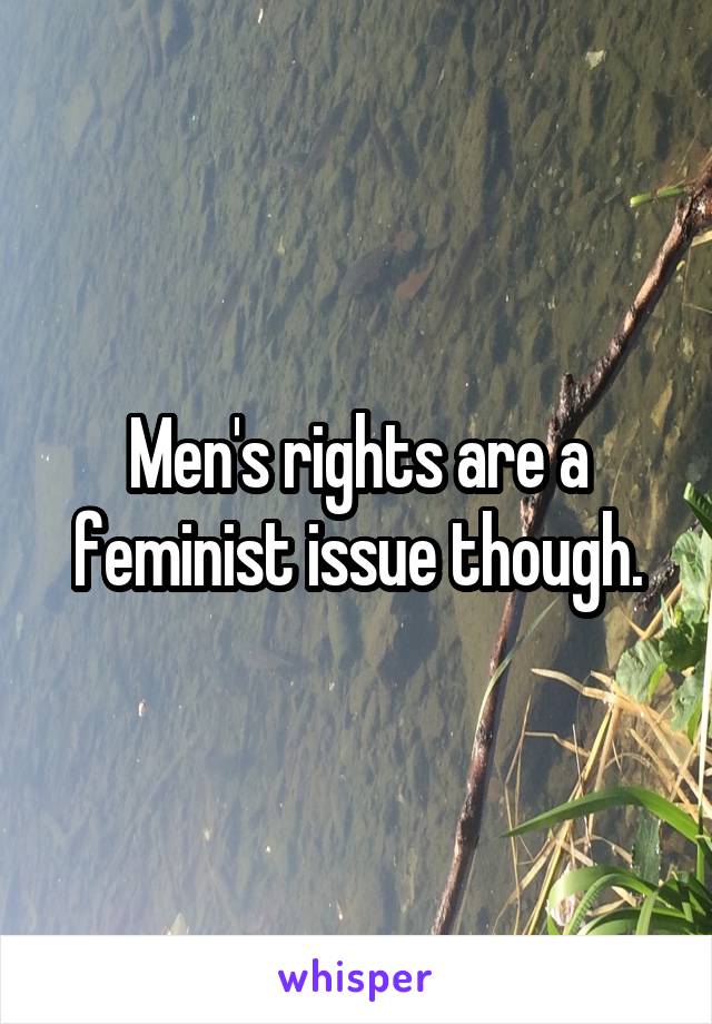 Men's rights are a feminist issue though.
