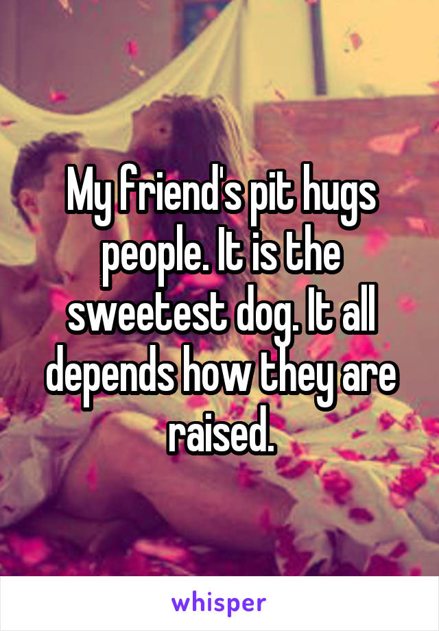 My friend's pit hugs people. It is the sweetest dog. It all depends how they are raised.