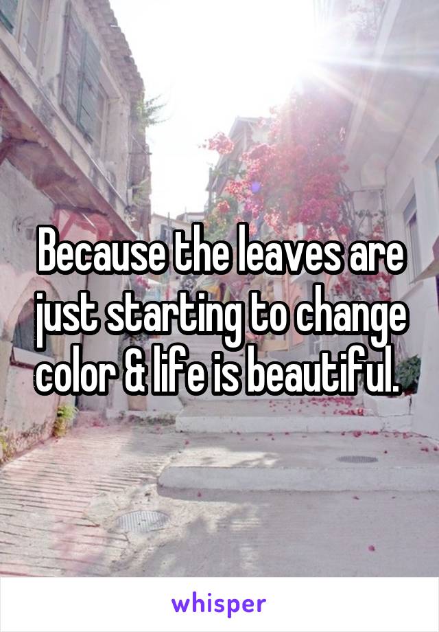 Because the leaves are just starting to change color & life is beautiful. 