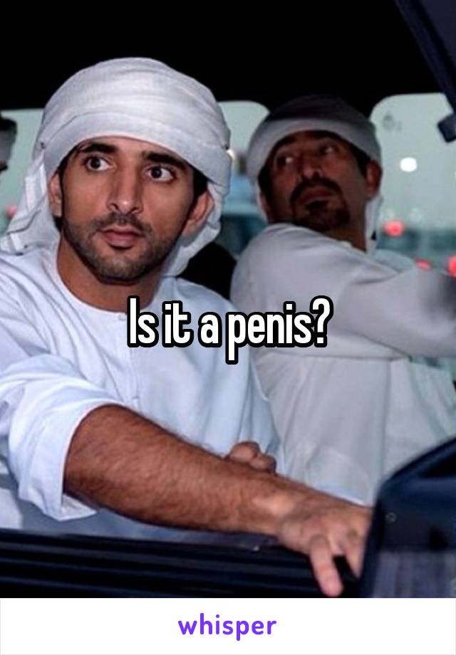 Is it a penis?
