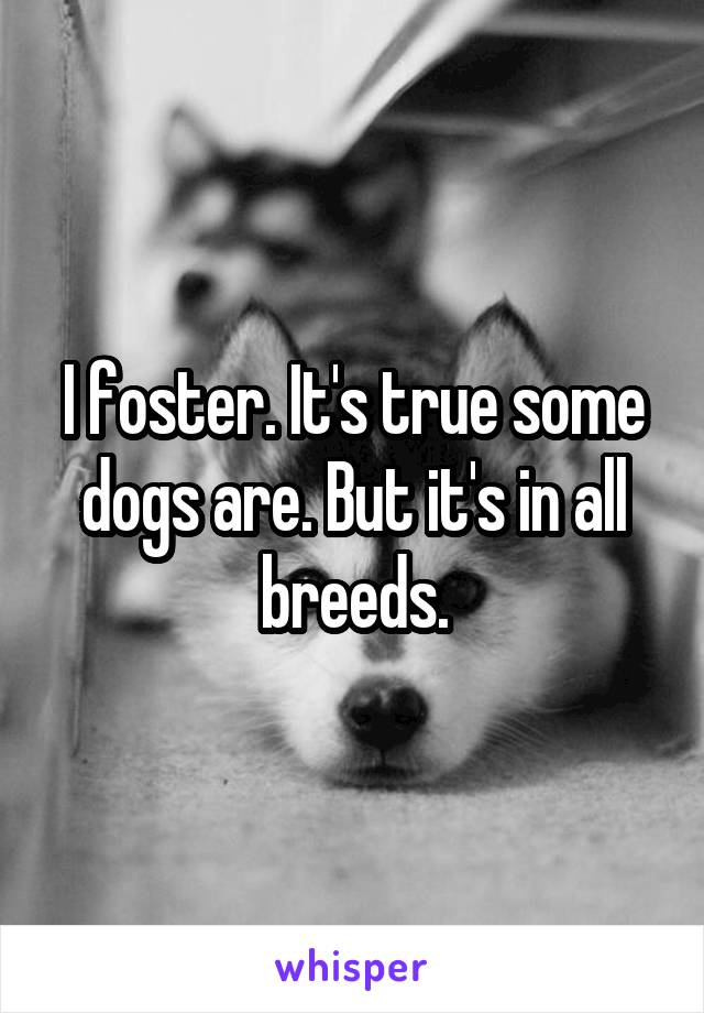 I foster. It's true some dogs are. But it's in all breeds.