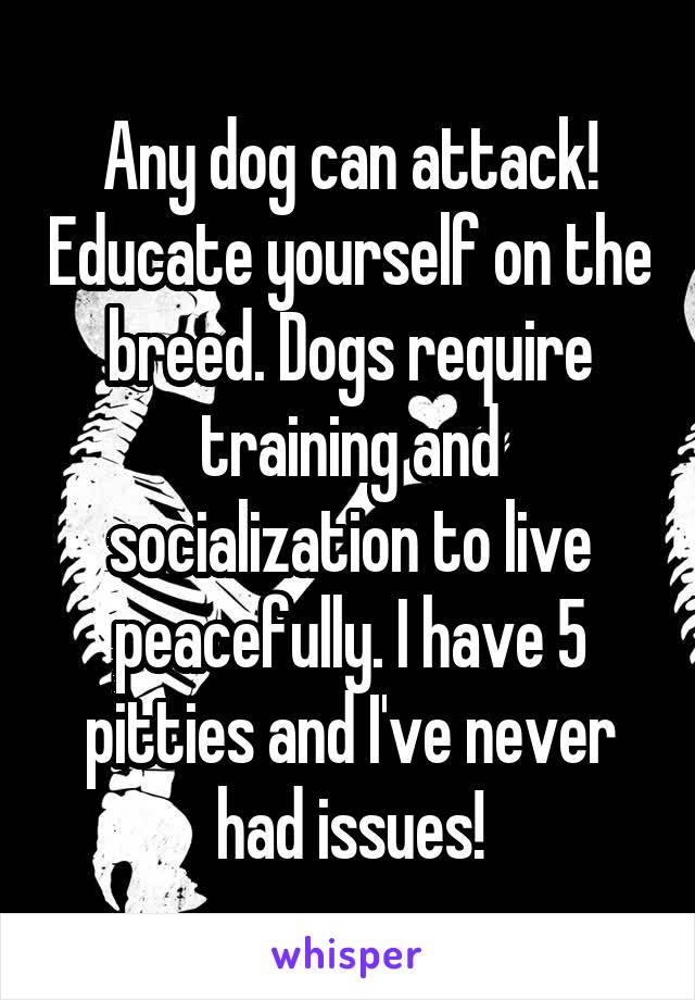 Any dog can attack! Educate yourself on the breed. Dogs require training and socialization to live peacefully. I have 5 pitties and I've never had issues!