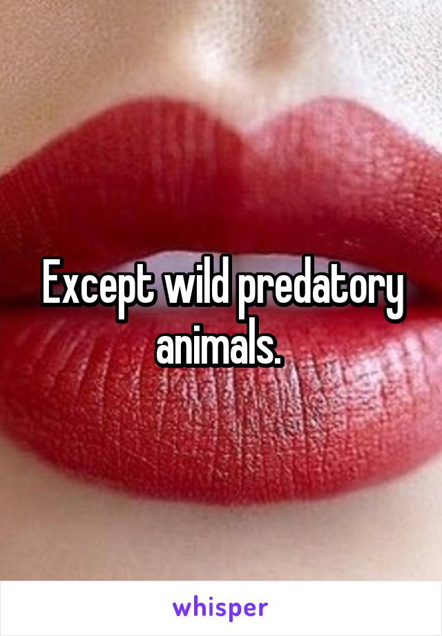Except wild predatory animals. 
