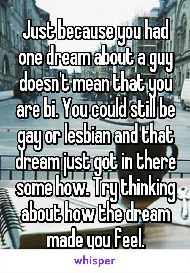 Just because you had one dream about a guy doesn't mean that you are bi. You could still be gay or lesbian and that dream just got in there some how. Try thinking about how the dream made you feel.