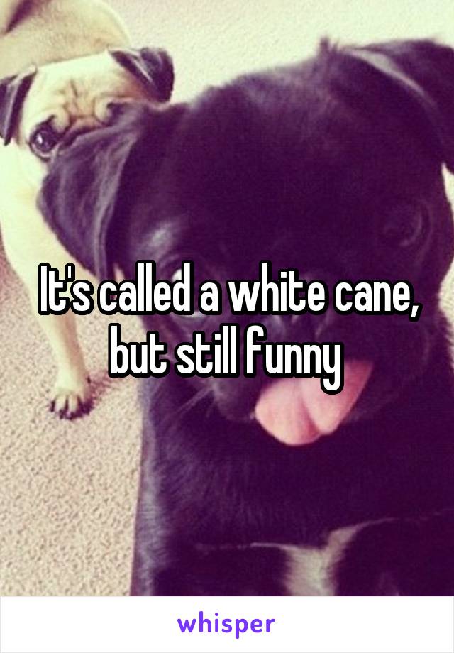 It's called a white cane, but still funny 