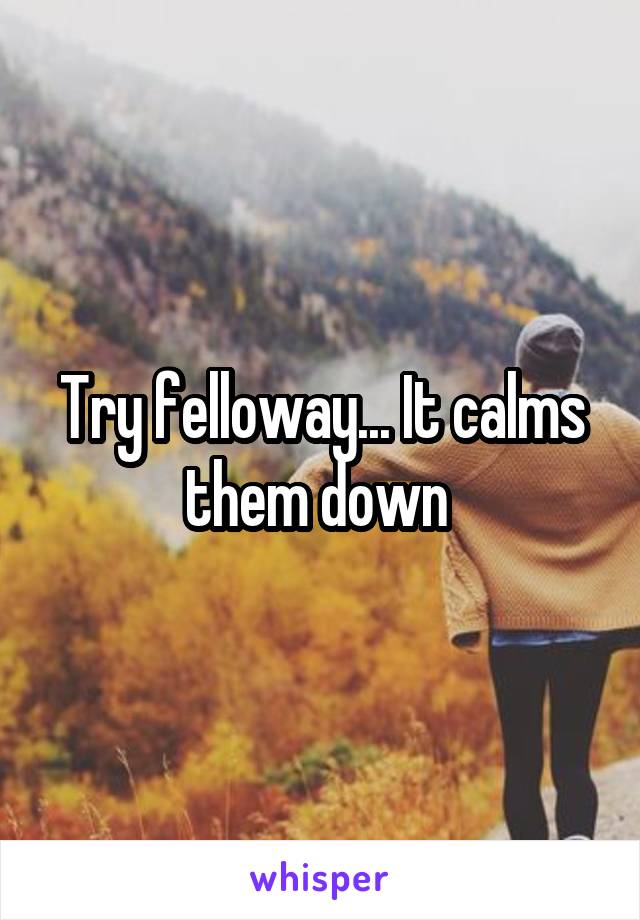 Try felloway... It calms them down 