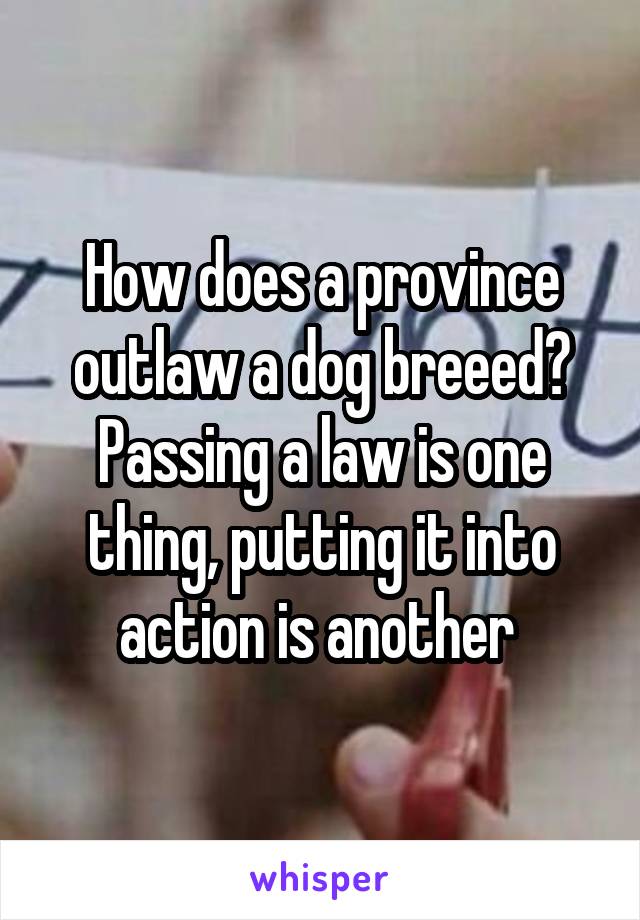 How does a province outlaw a dog breeed? Passing a law is one thing, putting it into action is another 