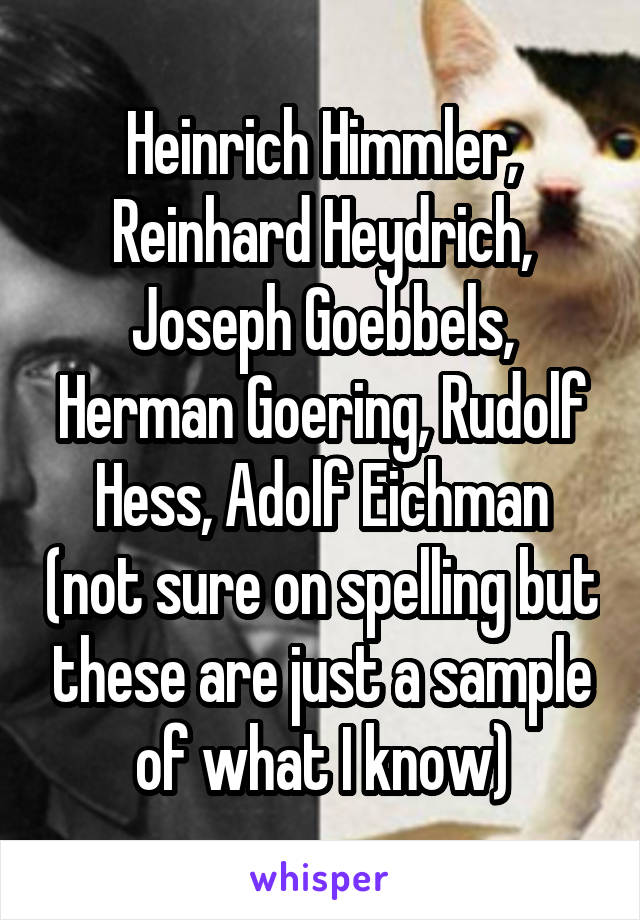 Heinrich Himmler, Reinhard Heydrich, Joseph Goebbels, Herman Goering, Rudolf Hess, Adolf Eichman (not sure on spelling but these are just a sample of what I know)