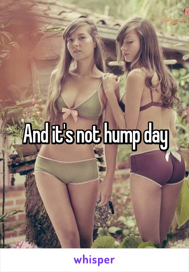 And it's not hump day