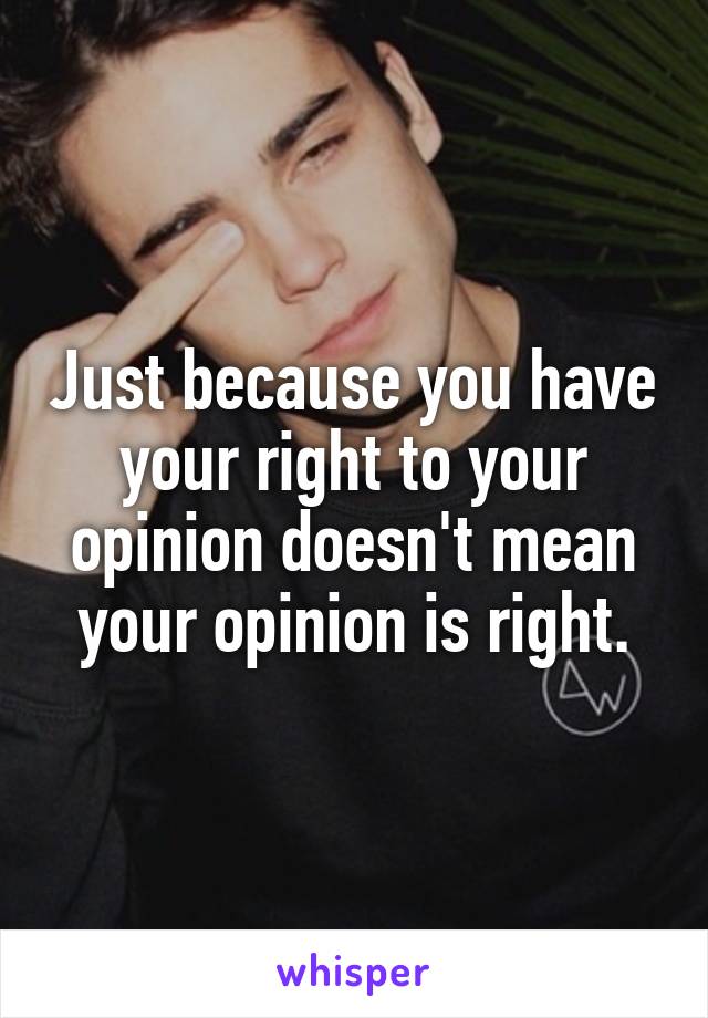 Just because you have your right to your opinion doesn't mean your opinion is right.