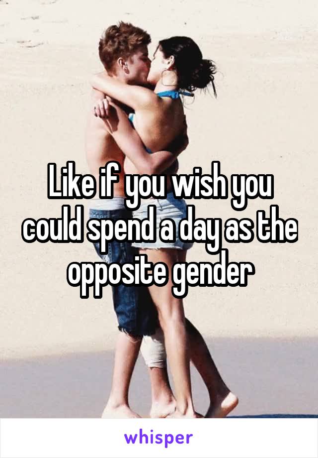 Like if you wish you could spend a day as the opposite gender