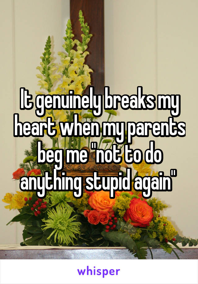 It genuinely breaks my heart when my parents beg me "not to do anything stupid again" 