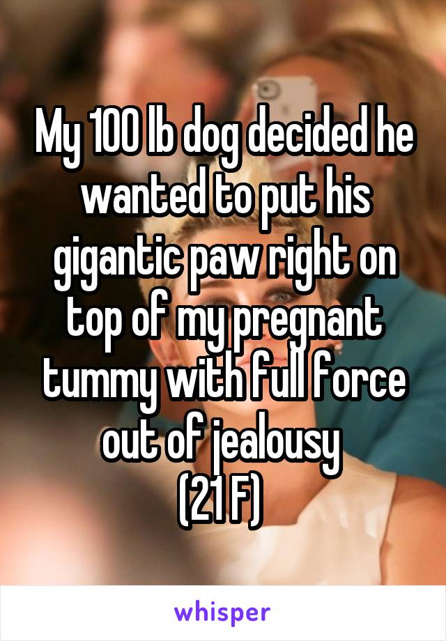 My 100 lb dog decided he wanted to put his gigantic paw right on top of my pregnant tummy with full force out of jealousy 
(21 F) 