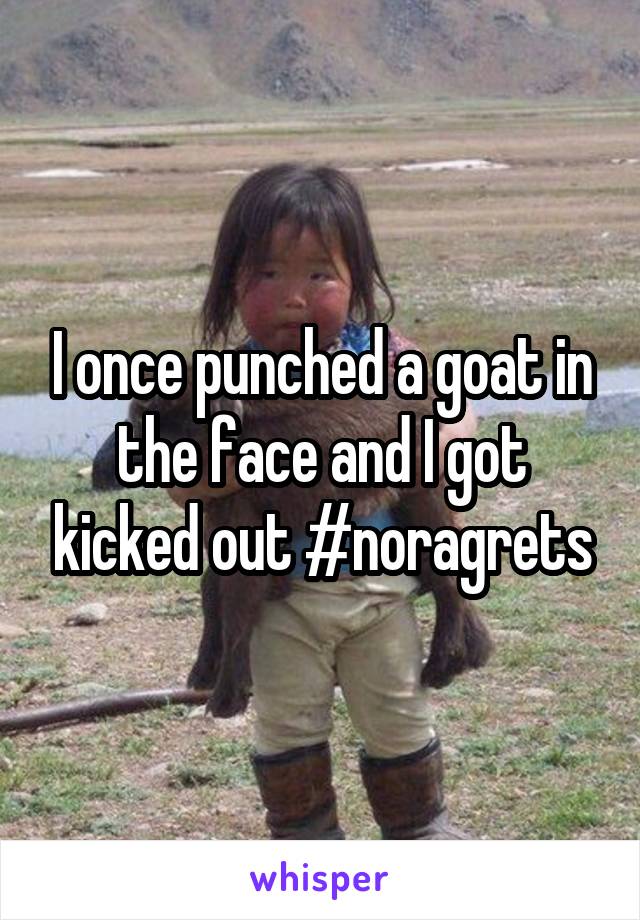 I once punched a goat in the face and I got kicked out #noragrets