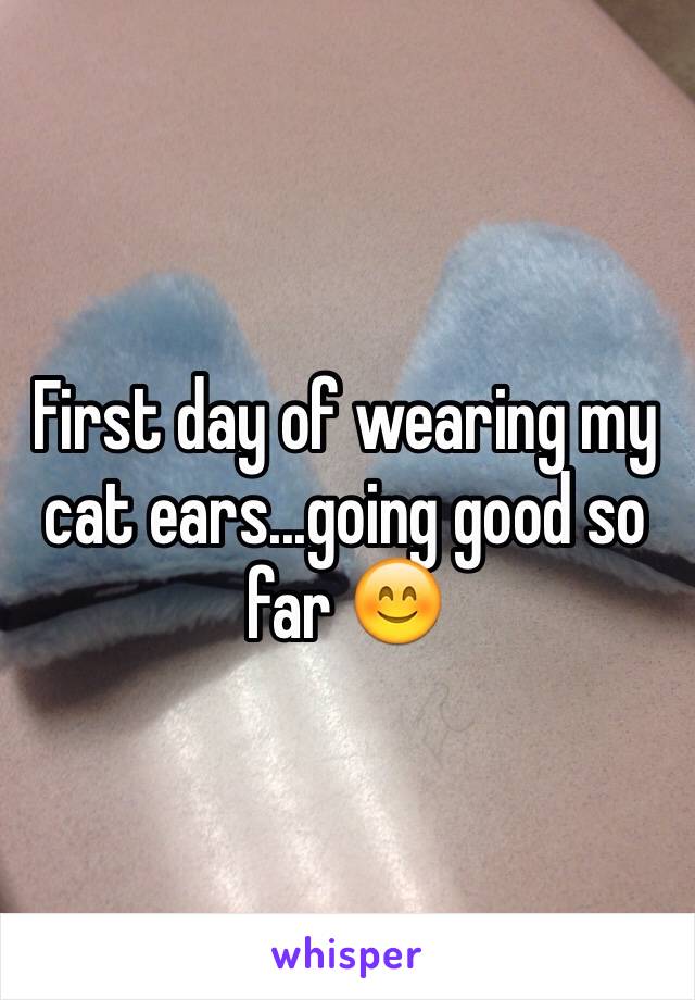 First day of wearing my cat ears...going good so far 😊