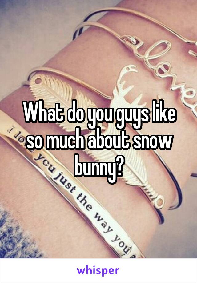 What do you guys like so much about snow bunny?