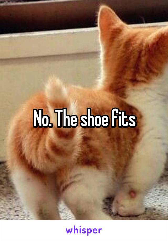 No. The shoe fits