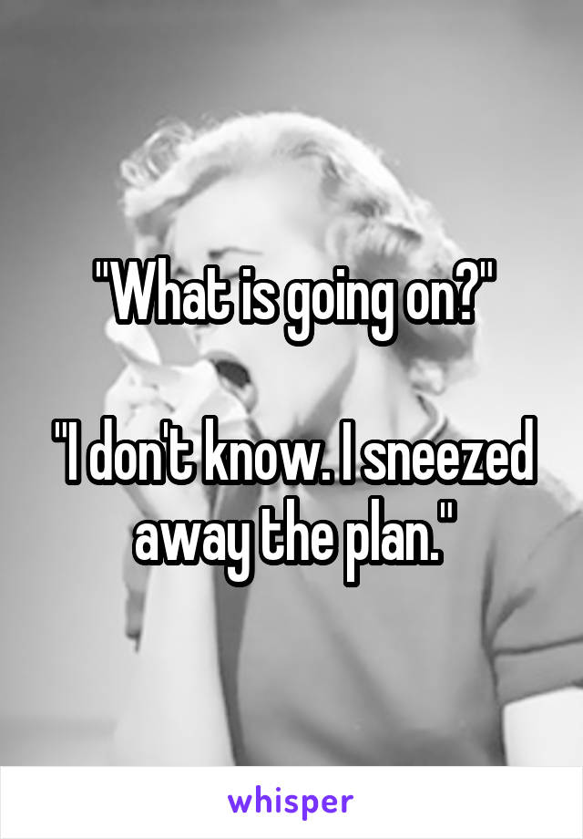 "What is going on?"

"I don't know. I sneezed away the plan."