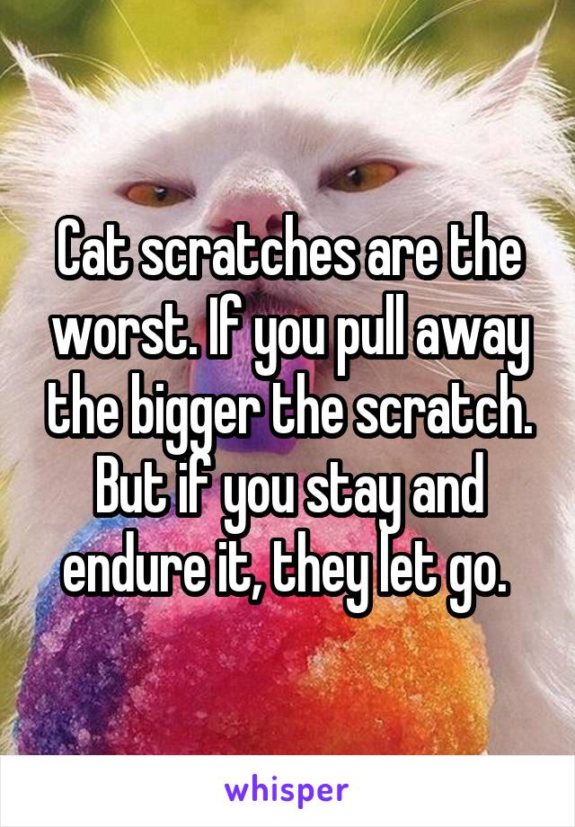 Cat scratches are the worst. If you pull away the bigger the scratch. But if you stay and endure it, they let go. 