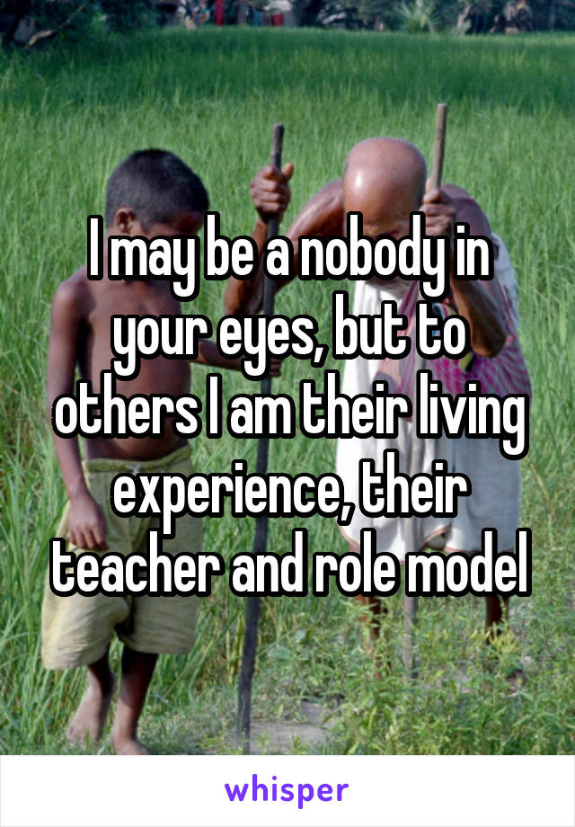 I may be a nobody in your eyes, but to others I am their living experience, their teacher and role model