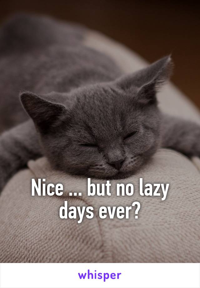 




Nice ... but no lazy days ever?