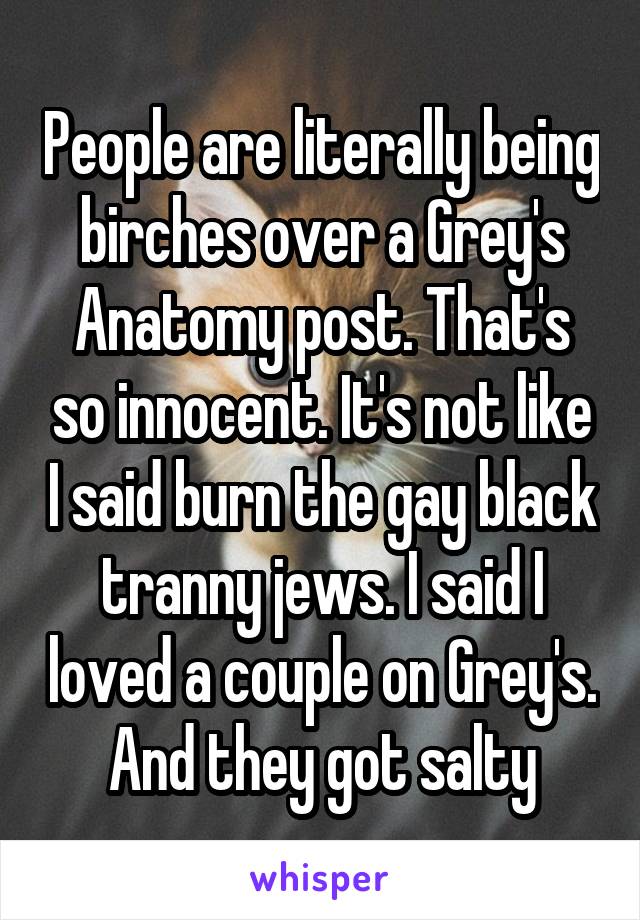 People are literally being birches over a Grey's Anatomy post. That's so innocent. It's not like I said burn the gay black tranny jews. I said I loved a couple on Grey's. And they got salty