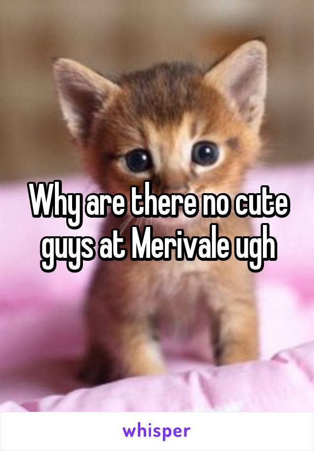 Why are there no cute guys at Merivale ugh