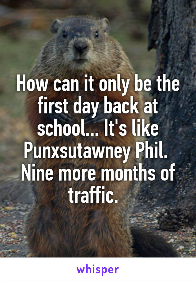 How can it only be the first day back at school... It's like Punxsutawney Phil.  Nine more months of traffic.  