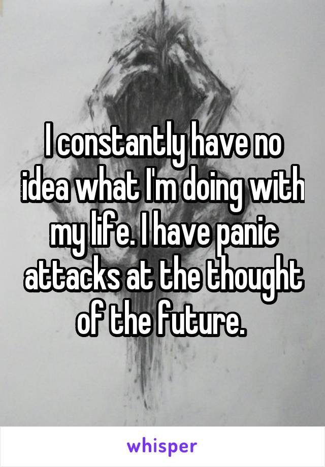 I constantly have no idea what I'm doing with my life. I have panic attacks at the thought of the future. 