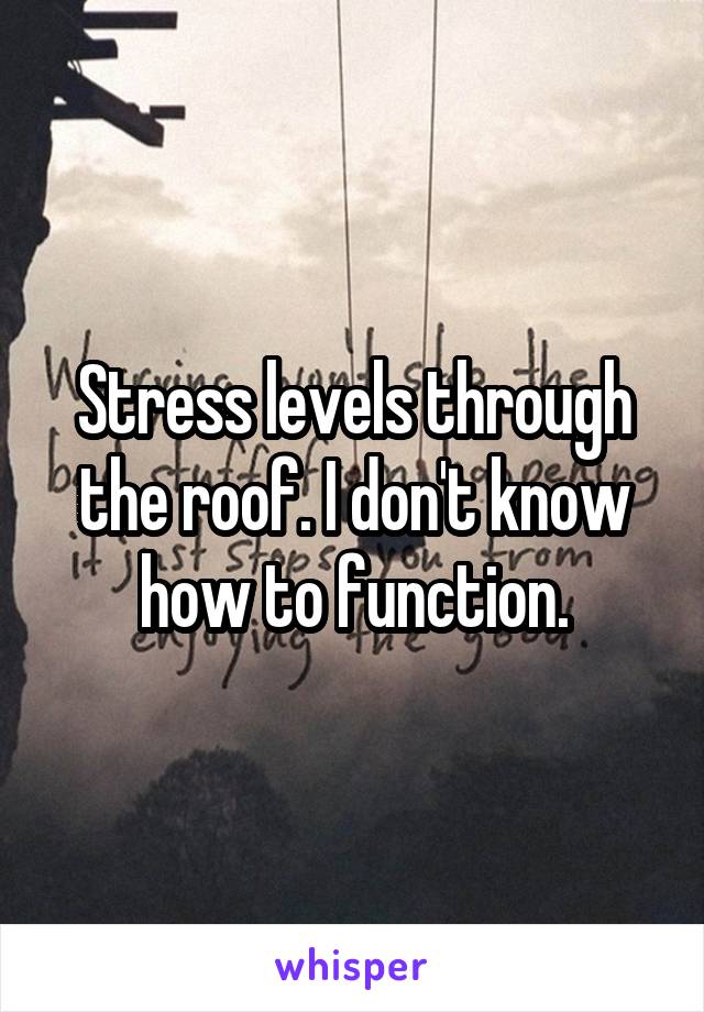 Stress levels through the roof. I don't know how to function.