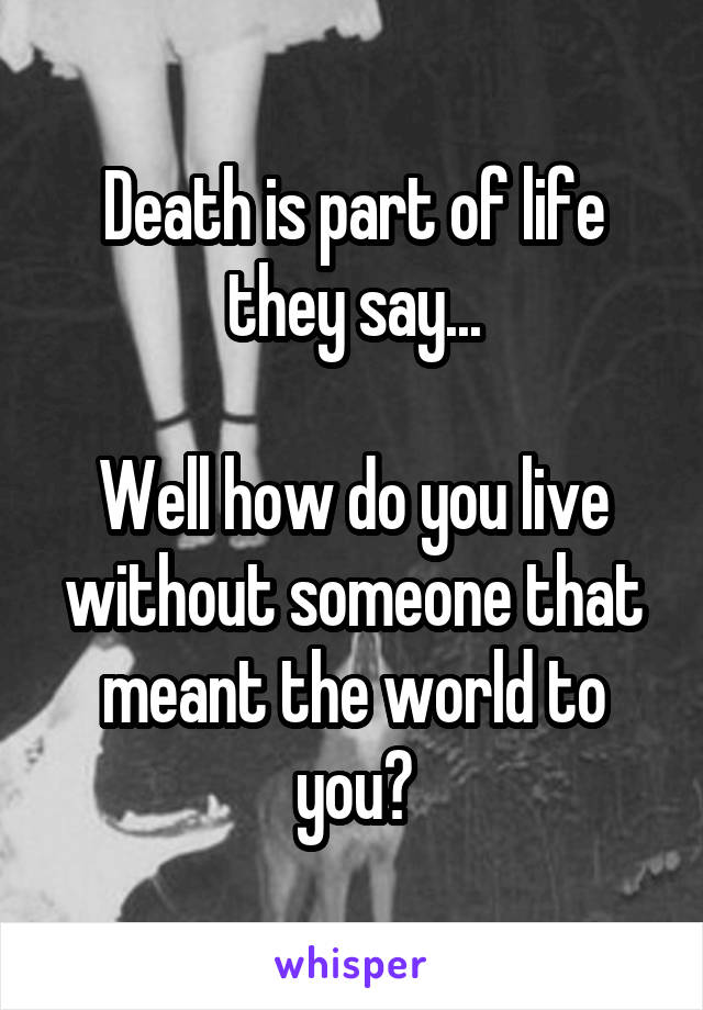 Death is part of life they say...

Well how do you live without someone that meant the world to you?