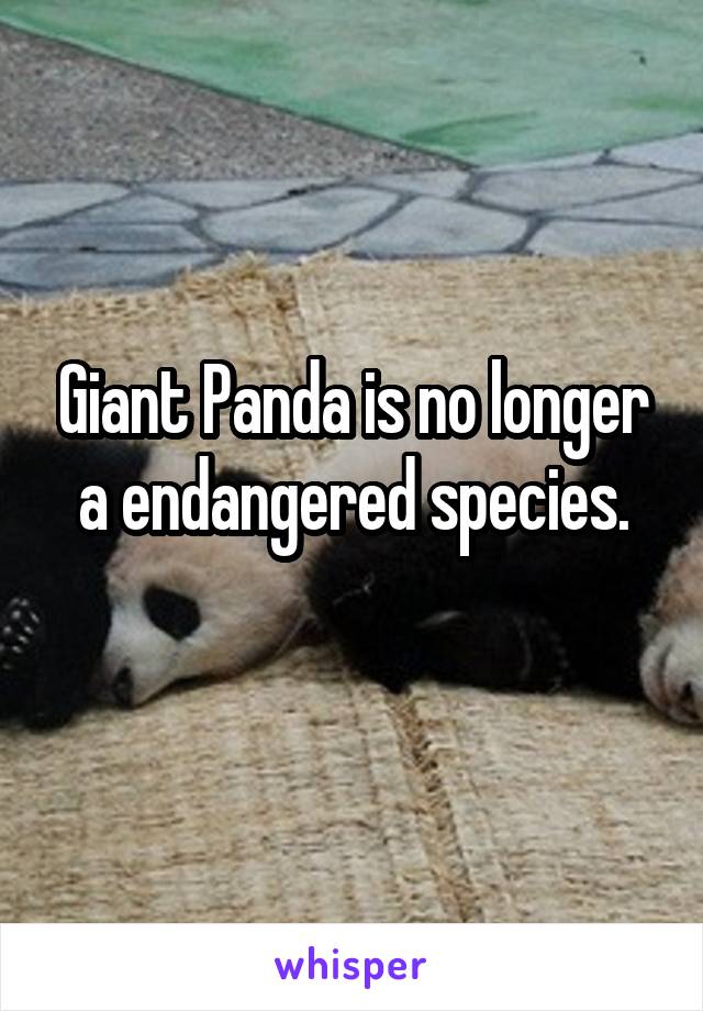 Giant Panda is no longer a endangered species.
