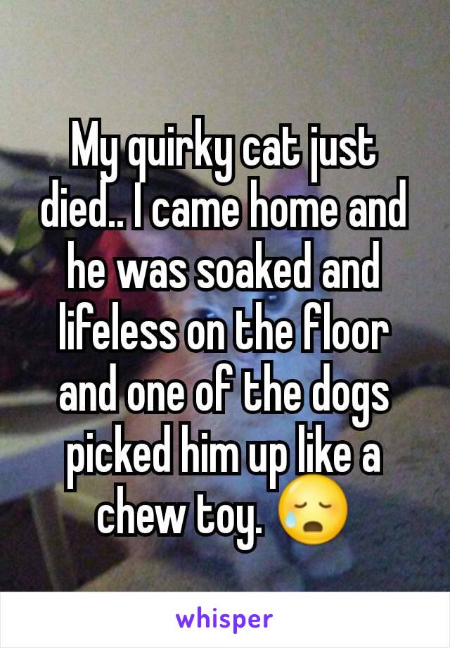 My quirky cat just died.. I came home and he was soaked and lifeless on the floor and one of the dogs picked him up like a chew toy. 😥