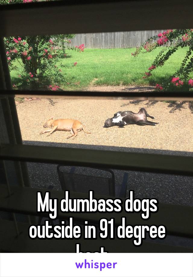 






My dumbass dogs outside in 91 degree heat...