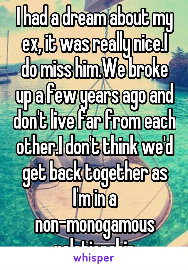 I had a dream about my ex, it was really nice.I do miss him.We broke up a few years ago and don't live far from each other.I don't think we'd get back together as I'm in a non-monogamous relationship