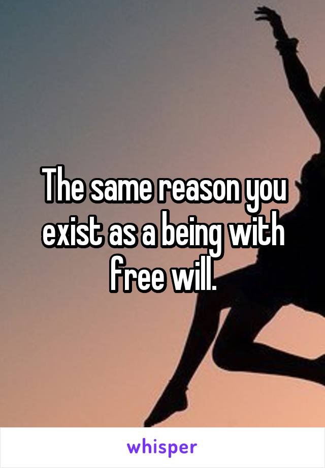 The same reason you exist as a being with free will.