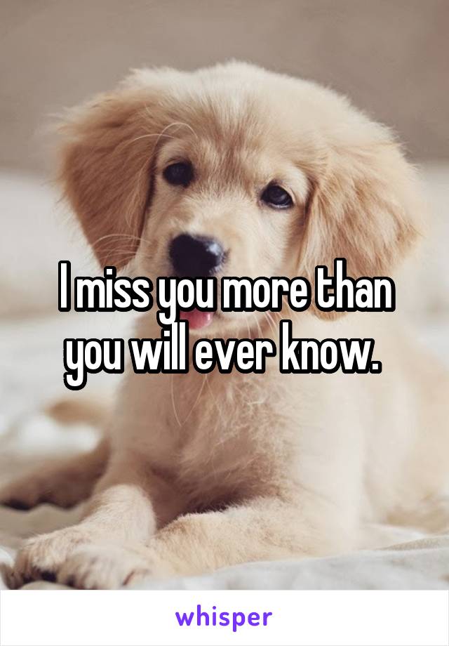 I miss you more than you will ever know. 