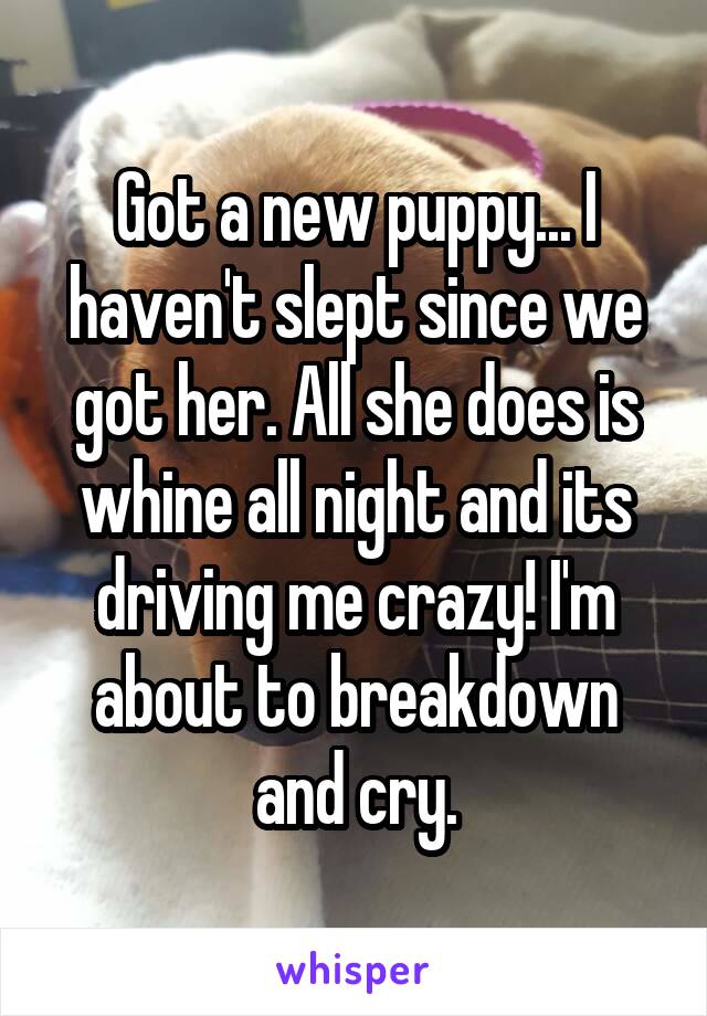 Got a new puppy... I haven't slept since we got her. All she does is whine all night and its driving me crazy! I'm about to breakdown and cry.