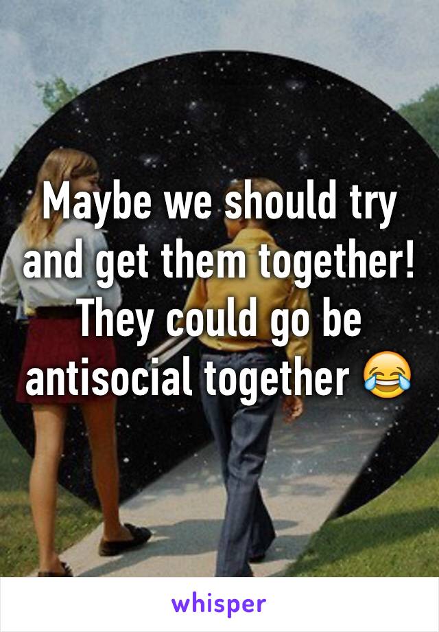 Maybe we should try and get them together! They could go be antisocial together 😂