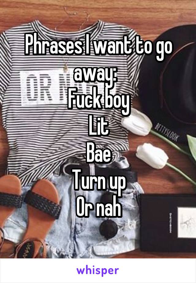 Phrases I want to go away:  
Fuck boy
Lit
Bae
Turn up
Or nah
