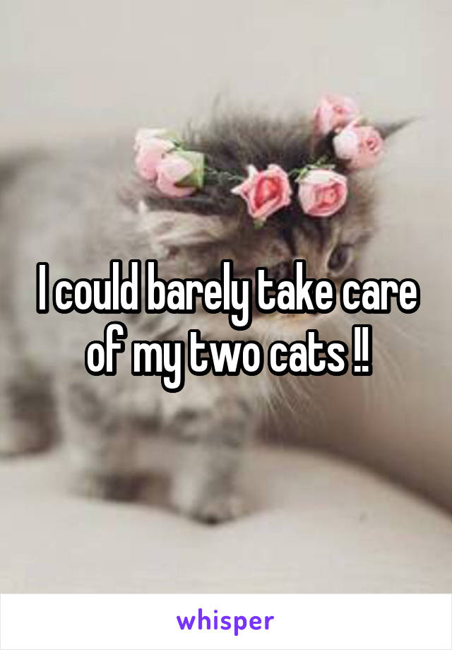 I could barely take care of my two cats !!