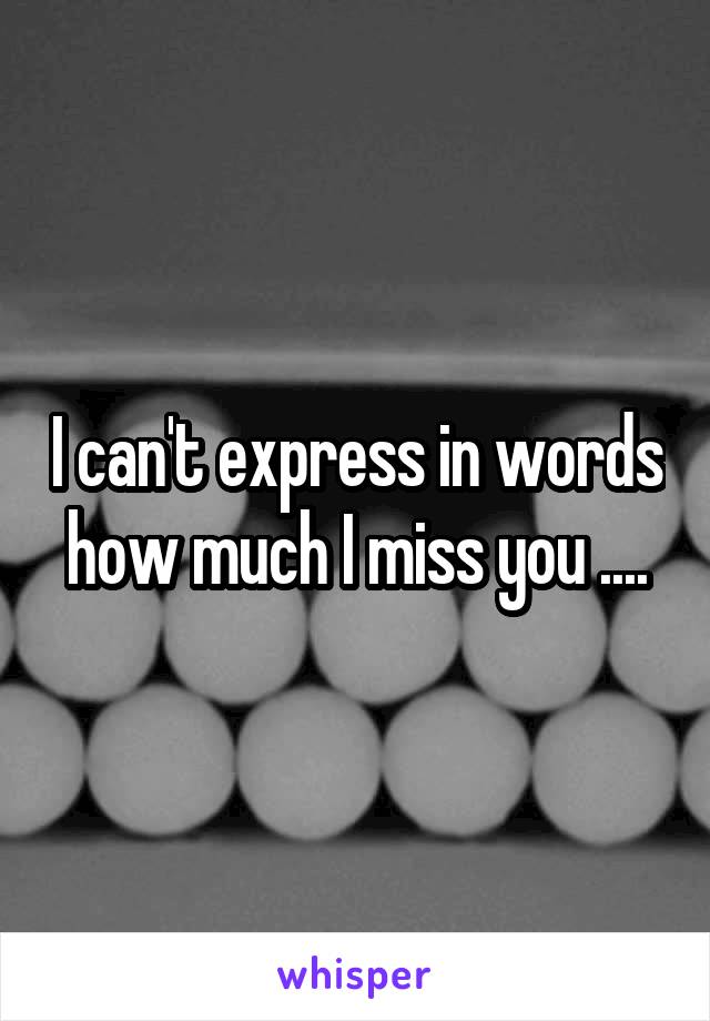 I can't express in words how much I miss you ....