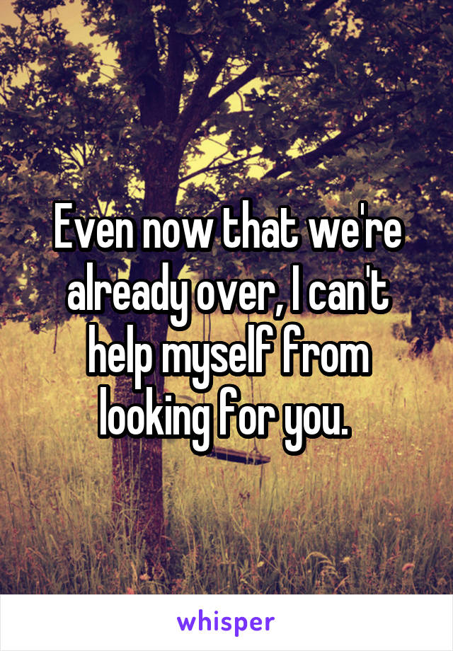 Even now that we're already over, I can't help myself from looking for you. 