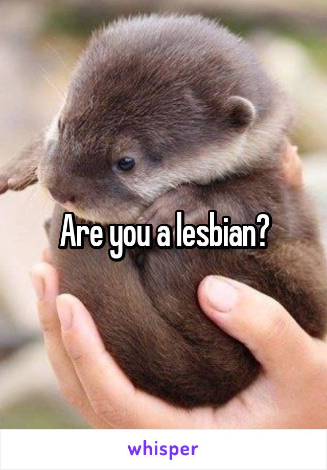 Are you a lesbian?