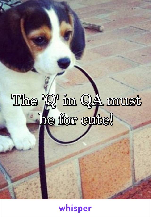 The 'Q' in QA must be for cute!