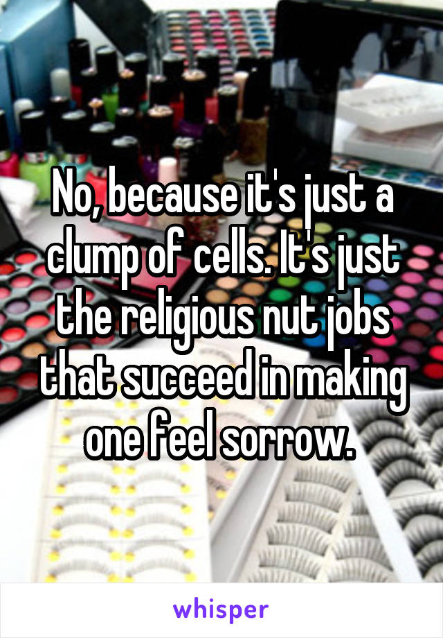 No, because it's just a clump of cells. It's just the religious nut jobs that succeed in making one feel sorrow. 