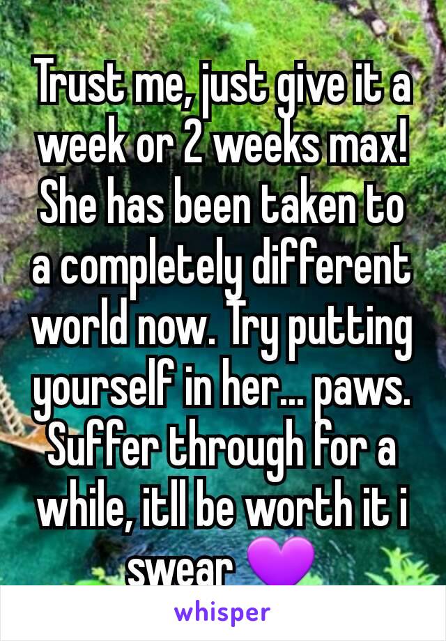 Trust me, just give it a week or 2 weeks max! She has been taken to a completely different world now. Try putting yourself in her... paws.
Suffer through for a while, itll be worth it i swear 💜