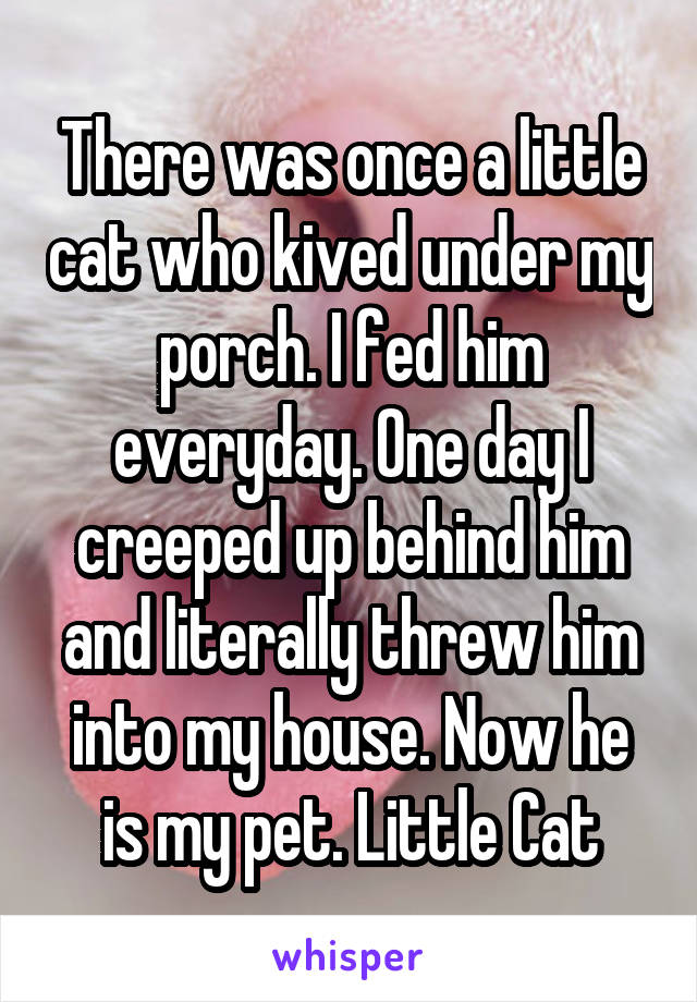 There was once a little cat who kived under my porch. I fed him everyday. One day I creeped up behind him and literally threw him into my house. Now he is my pet. Little Cat