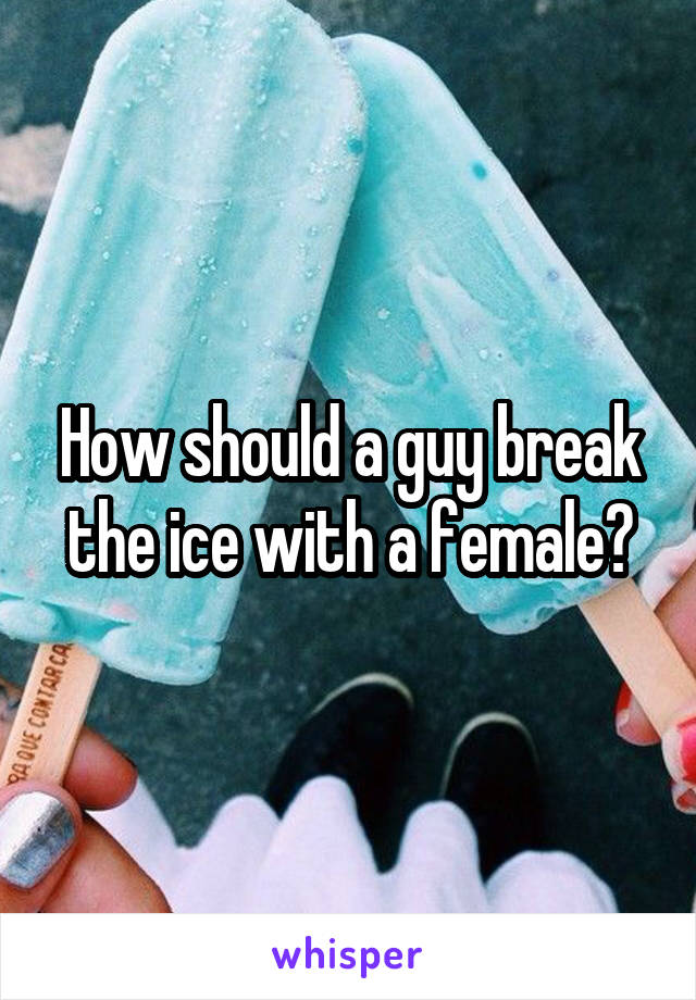 How should a guy break the ice with a female?